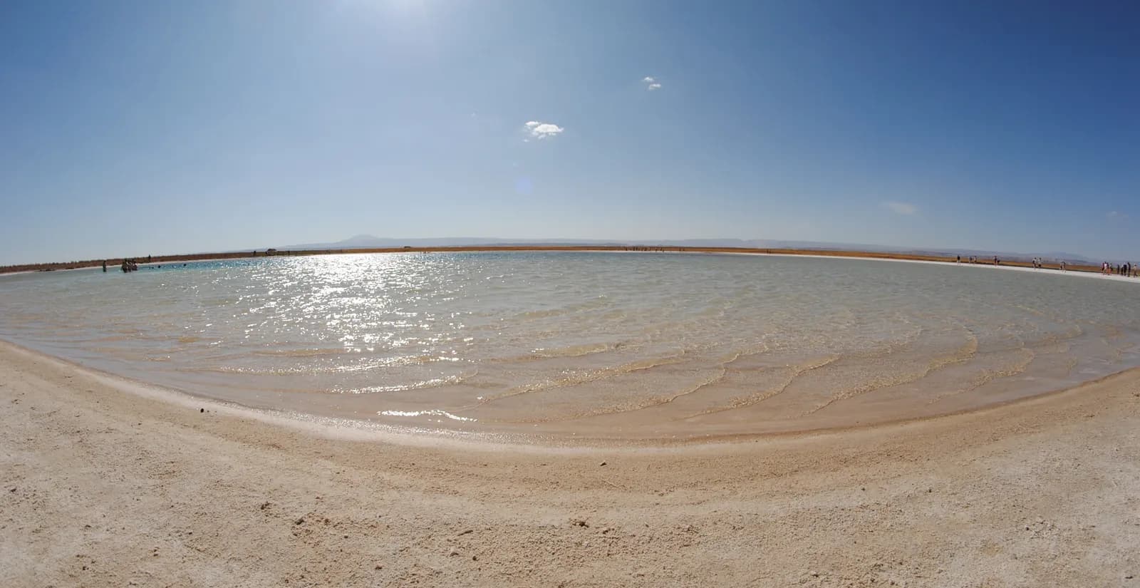 Laguna Cejar & Ojos del Salar