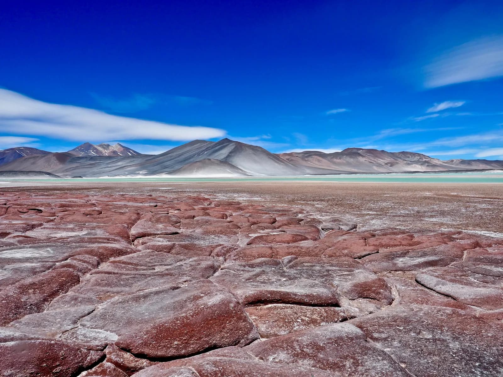 Piedras Rojas e Lagunas Altiplânicas no Atacama